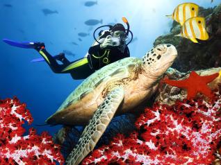 Kemer Scuba Diving: Scuba Diving for Beginners at Turquoise Waters