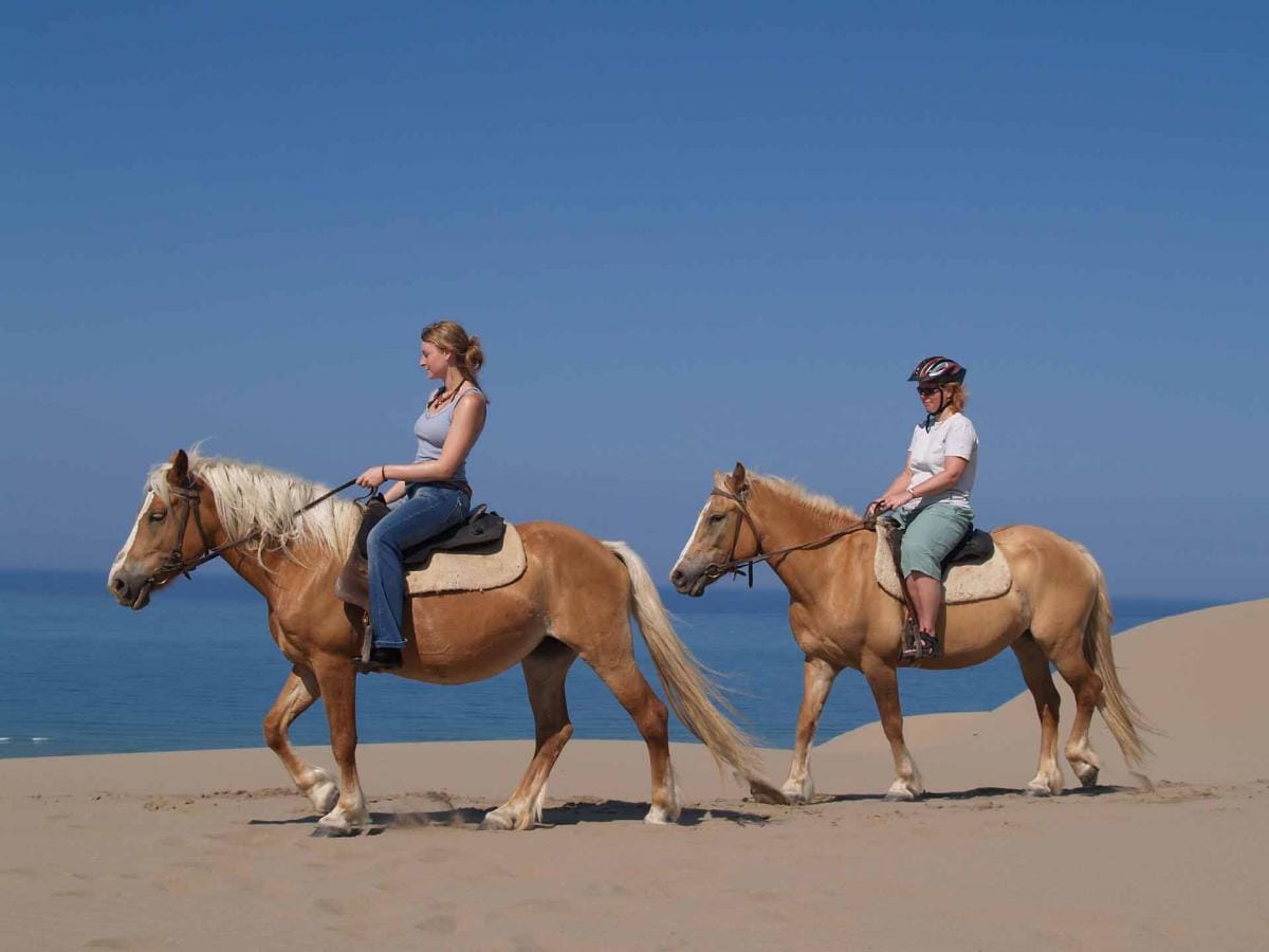 Horseback riding