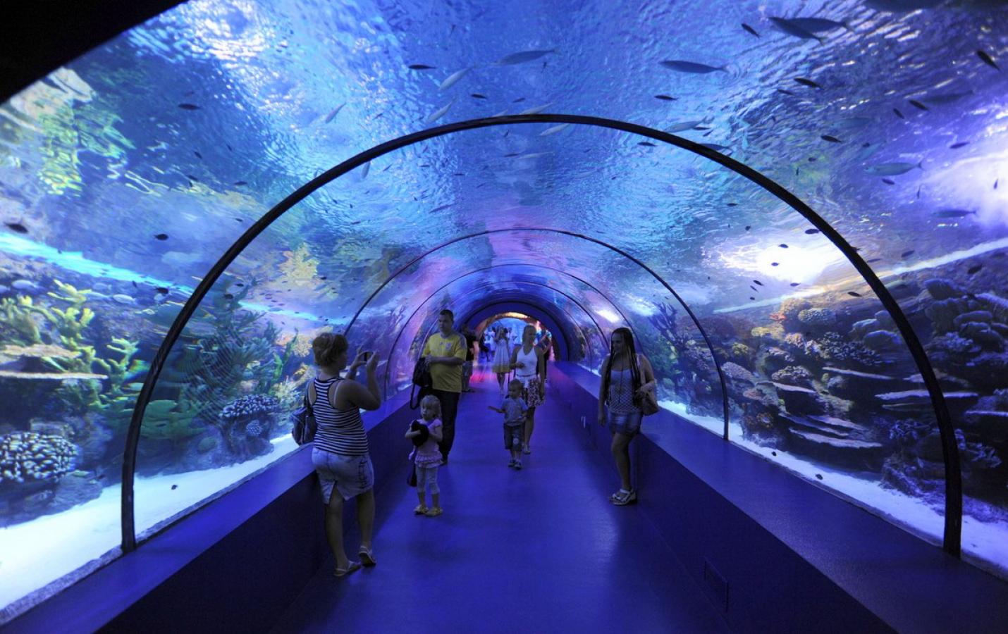 World biggest tunnel Aquarium tour from Belek Vigo Tours