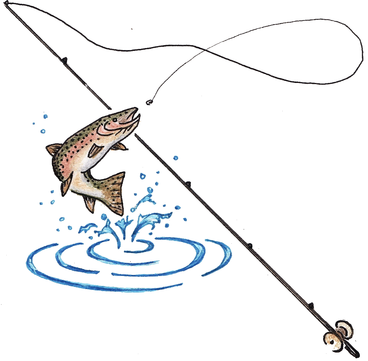 Fly Fishing day at the Taurus Mountains from Side  Vigo tours