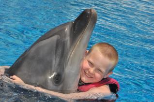 Dolphins and Sea Lions Show at the Dolphinarium of Belek Antalya