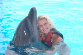 Delfinshow und Delphine Schwimmen