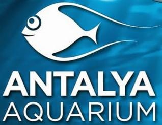 Antalya Aquarium Entrance Ticket and Transfer