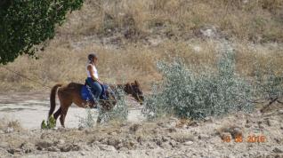 Reiten in den magischen Tälern von Kappadokien