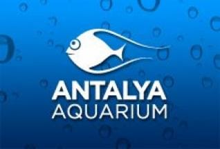 Tägliche Tour zu dem weltgrößten Tunnelaquarium ab Alanya