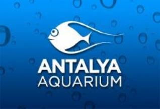 Экскурсия в аквариум Анталии из Кемера