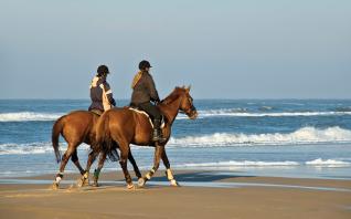 Reiten Strand Küste Ausblick Natur Adrenalin Spass