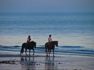 Reiten Strand Meer Küste Adrenalin Spass Natur