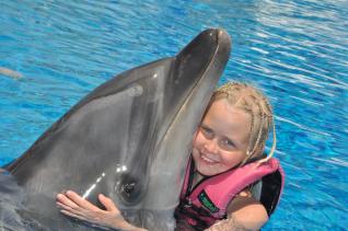 Delfin- und Seelöwen-Show im Dolphinarium in Alanya