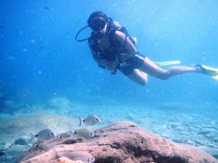 Tauchen für Anfänger in Antalya Adrenalin Spass